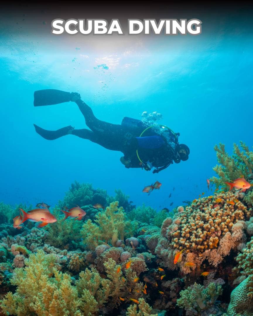 Fethiye veya Ölüdeniz’de Scuba Dalış Maceraları