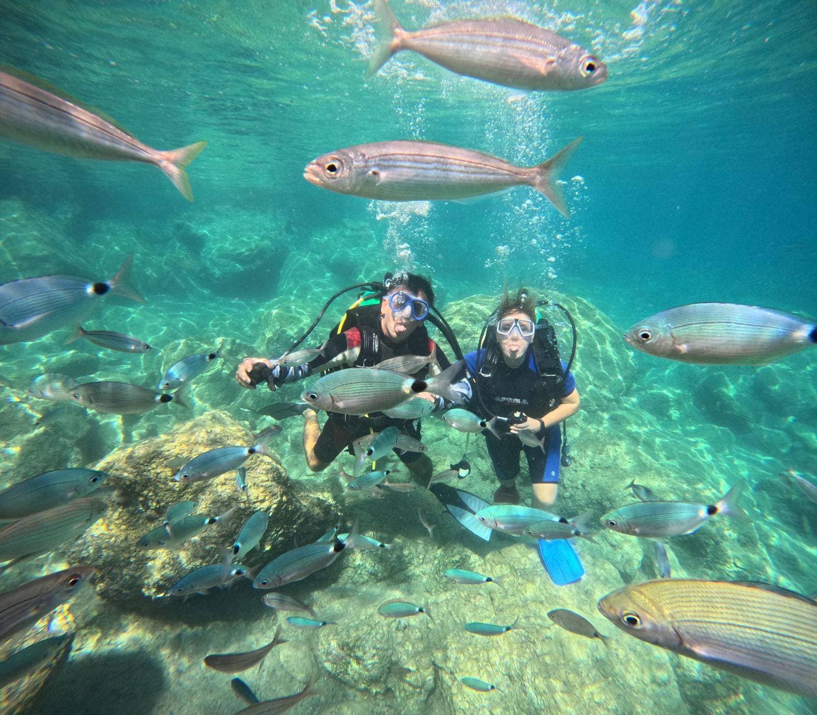 Scuba Diving Tour with Barakuda Boat